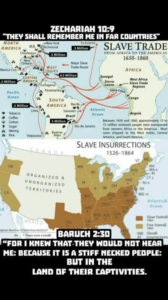 TRS_Goals's tweet photo. @MollyDavis543 @PepecoinMaxxer @TorahJews Revelation 2:9/3:9👿Luke 21:24 Jerusalem shall be trodden down by GENTILES, until the times of the GENTILES be fulfilled~Isaiah 11:12 he shall setup an ensign for the nations,&amp;shall assemble the outcasts of #iSRAELITES👳🏾🧕🏾&amp; gather the dispersed of JUDAH from the 4corners of the🌍 https://t.co/EjGj1BhLA1