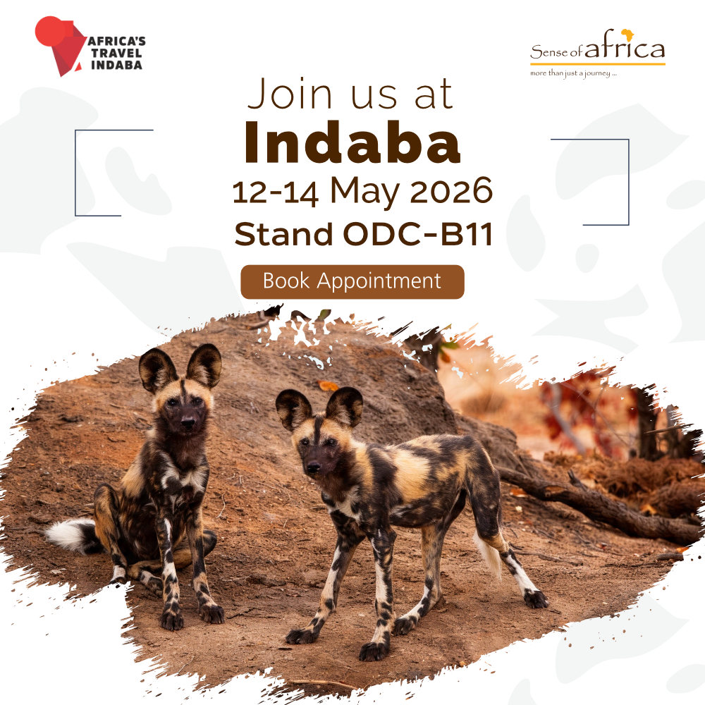 SenseBotswana's tweet photo. We’re heading back to Africa's Travel Indaba, and we can’t wait to welcome you!
See You There!!
#senseofafricabotswana #MoreThanJustAJourney #Indaba2026 #AfricaAwaits https://t.co/thjt3KSRlA