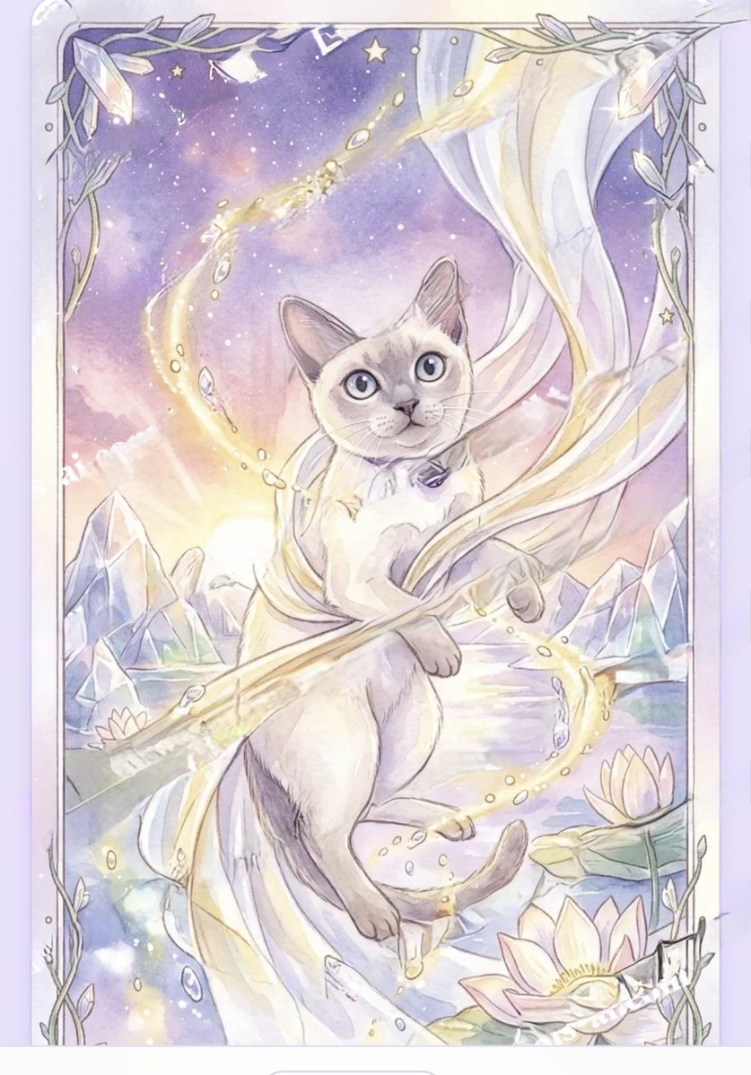 🌿💕I’ve turned one of our family’s cats into an Oracle card💞✨🌿