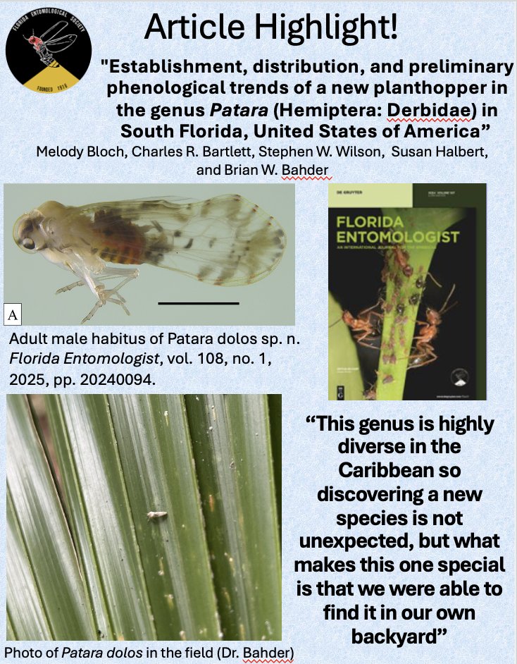 Florida Entomological Society tweet media