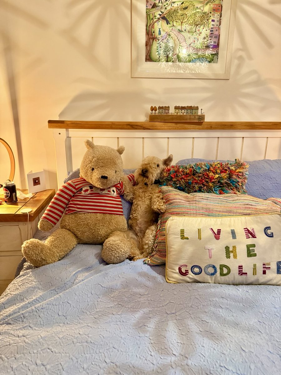Bertie Lakeland tweet media