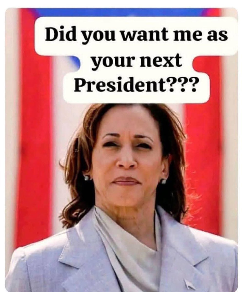 Mr Dav X tweet media