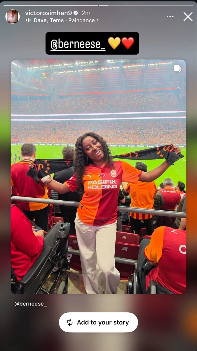 Berneese tweet media