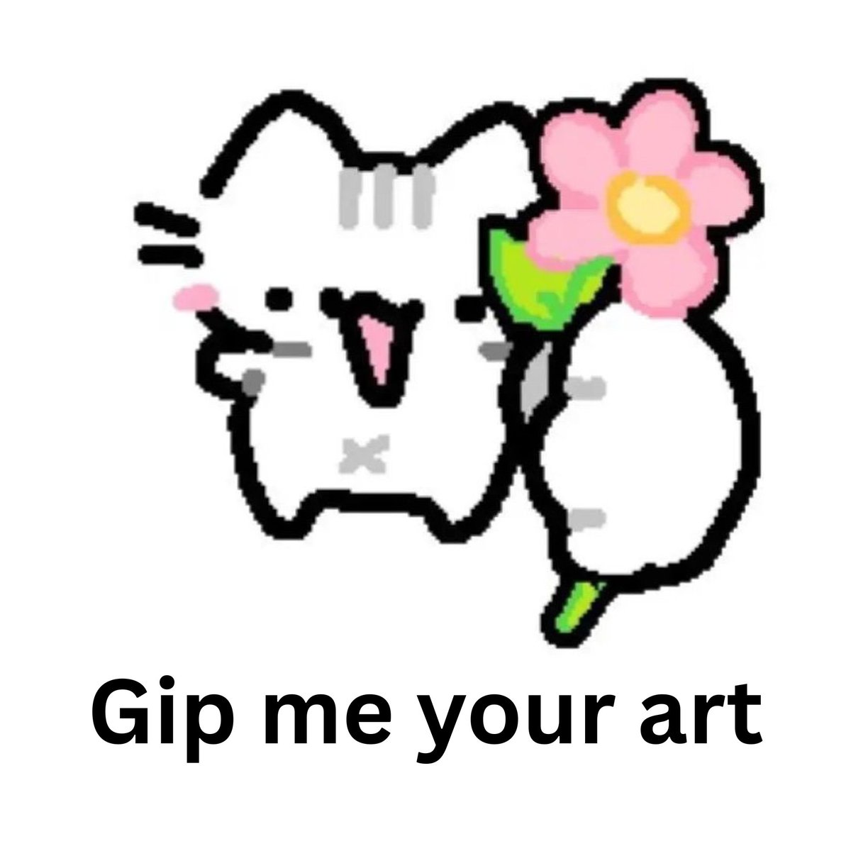 Lumiara Noiri 🐾🌙 tweet media