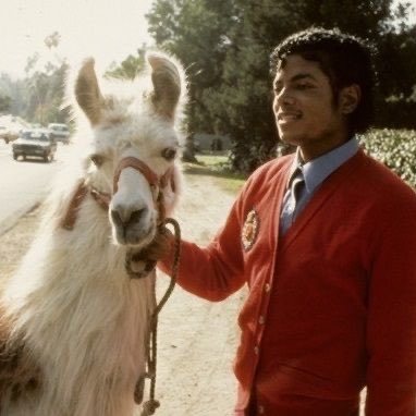 Alex • LaFuiteEnVidéo tweet media