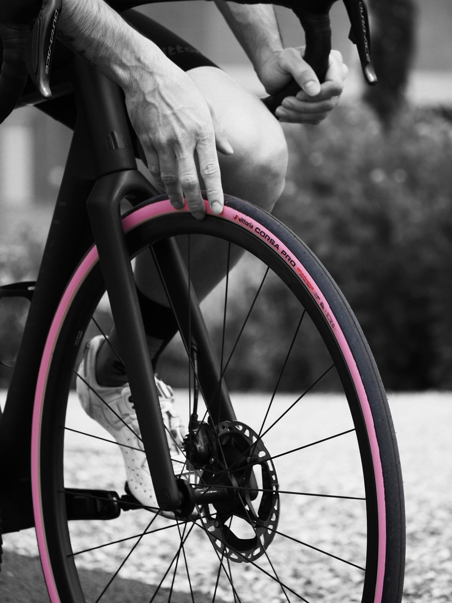 Freewheel tweet media
