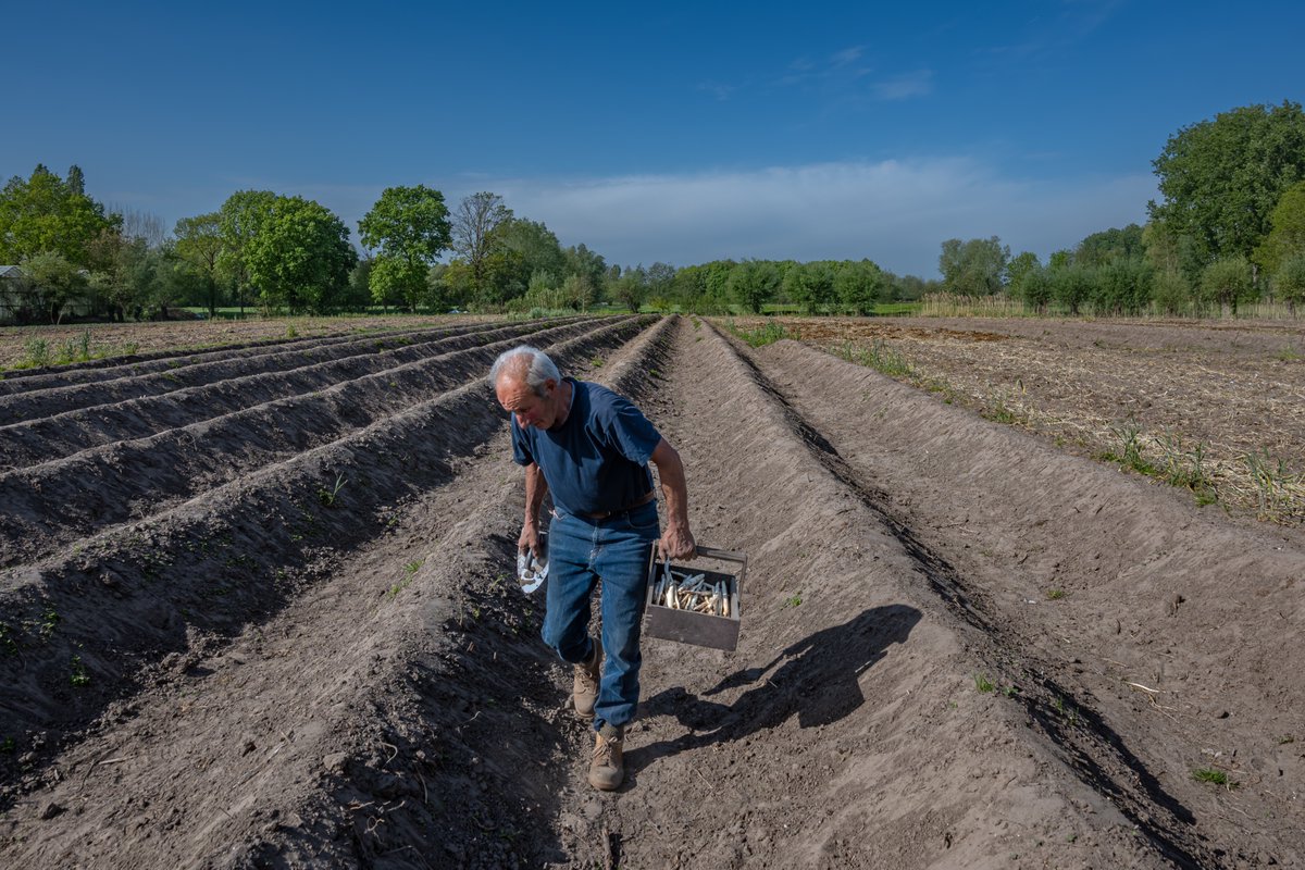 MarcWezema75157's tweet image. #vrtweer #weerfoto #lente #zon #nikonphotography #weatherphotography @Weerbord @meteoBram #Moerzeke 10u30