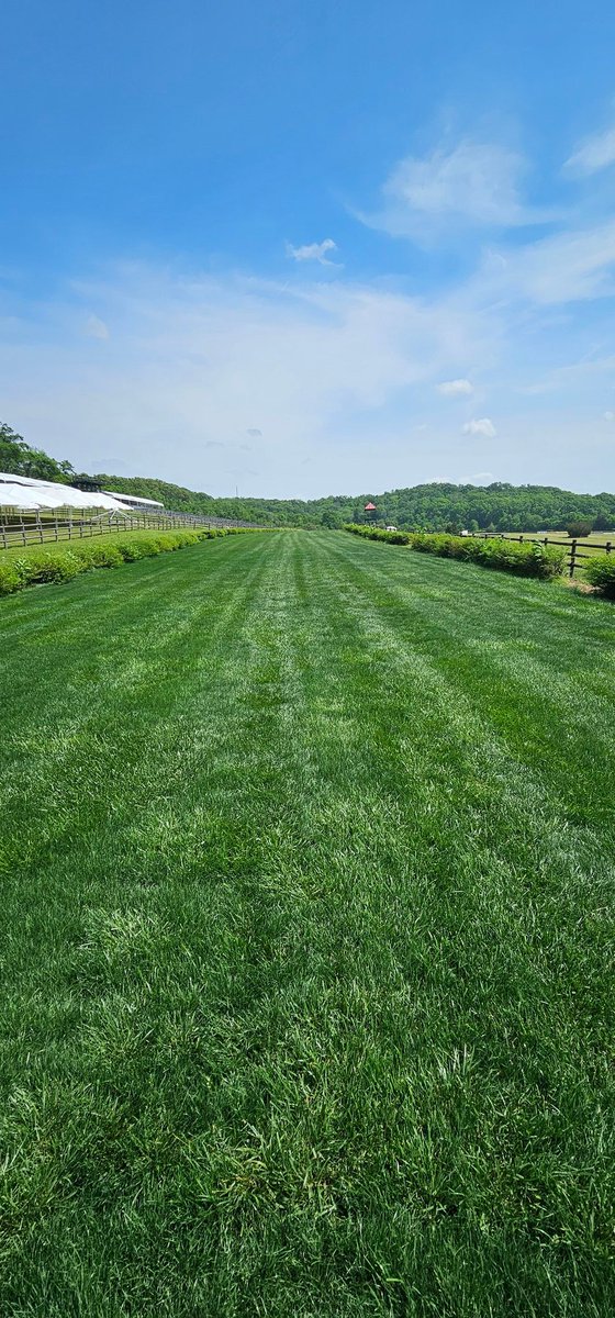 TNSteeplechase's tweet photo. What a beautiful sight! https://t.co/hg91zFiau5