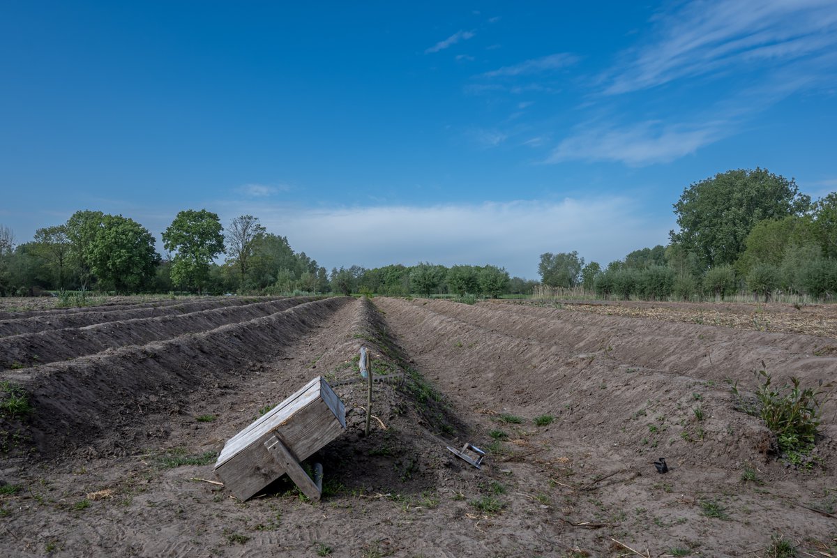 MarcWezema75157's tweet image. #vrtweer #weerfoto #lente #zon #nikonphotography #weatherphotography @Weerbord @meteoBram #Moerzeke 10u40
