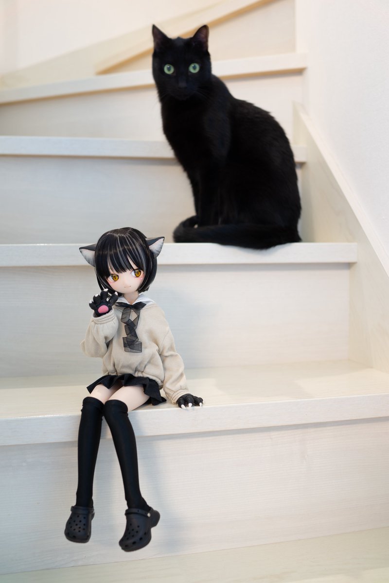黒猫くんと黒猫ちゃん。