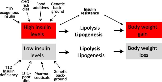 BMCMedicine's tweet image. #BMCMedicine #Debate on why #hyperinsulinemia is detrimental to #weightloss: insights from type 1 #diabetes #T1D by Martin, Kempf &amp;amp; Kolb.

link.springer.com/article/10.118…