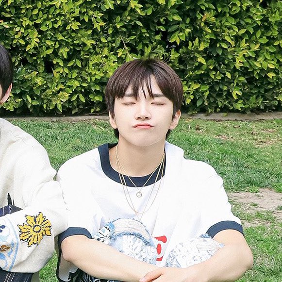 ᜊ(´｡• ◡ •｡`)ᜊ tweet media