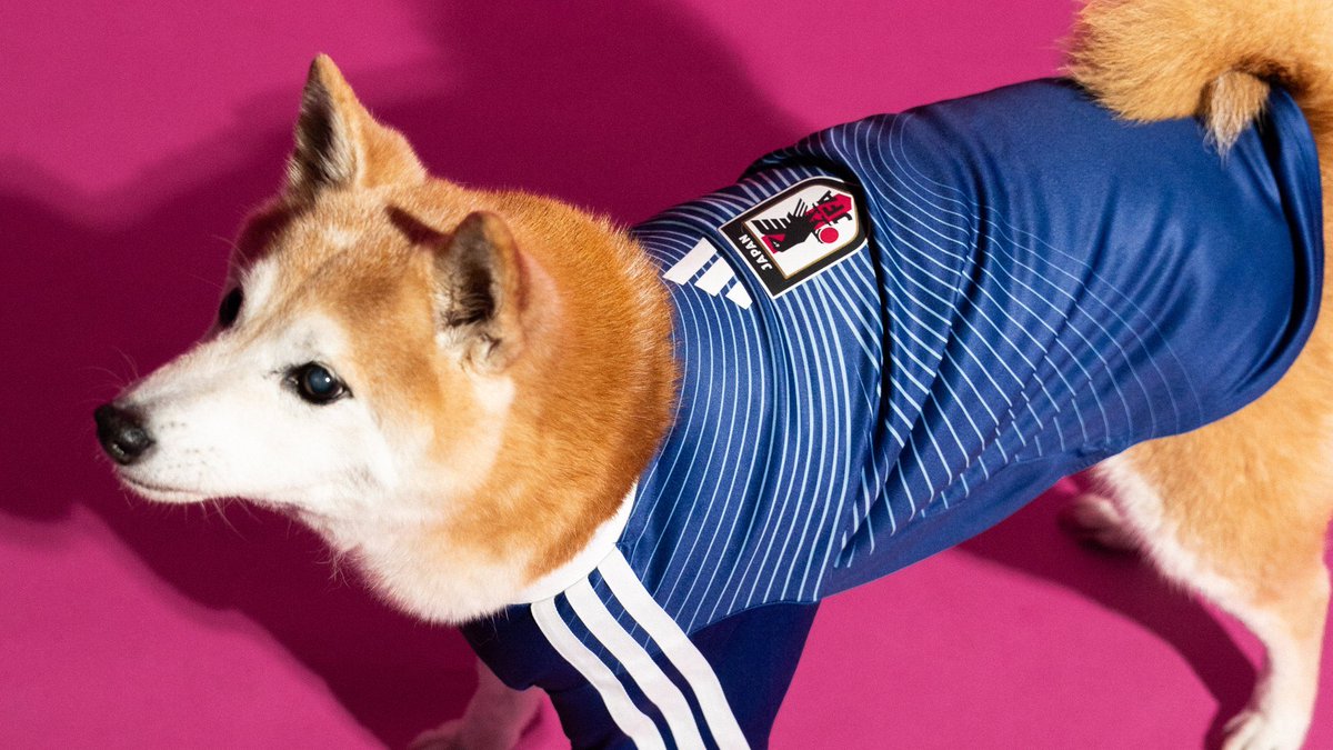 machotaooo's tweet photo. did you know adidas just dropped a PET COLLECTION of national team jerseys for the World Cup 2026?

like… actual jerseys. for your dog

everyone’s talking about it. timeline is feral.
so I made the coin

$PAWDIDAS

СА: 12Y5EXe1WYaXK7ppQUMAGw9RMKLmDGzeRiAyaNyTpump

for paws🐕⚽ https://t.co/hQyxeH9RfX