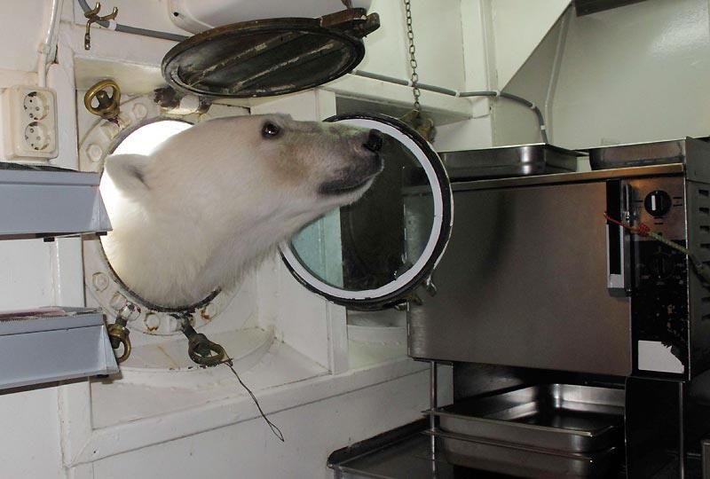 ziomalson29 tweet media