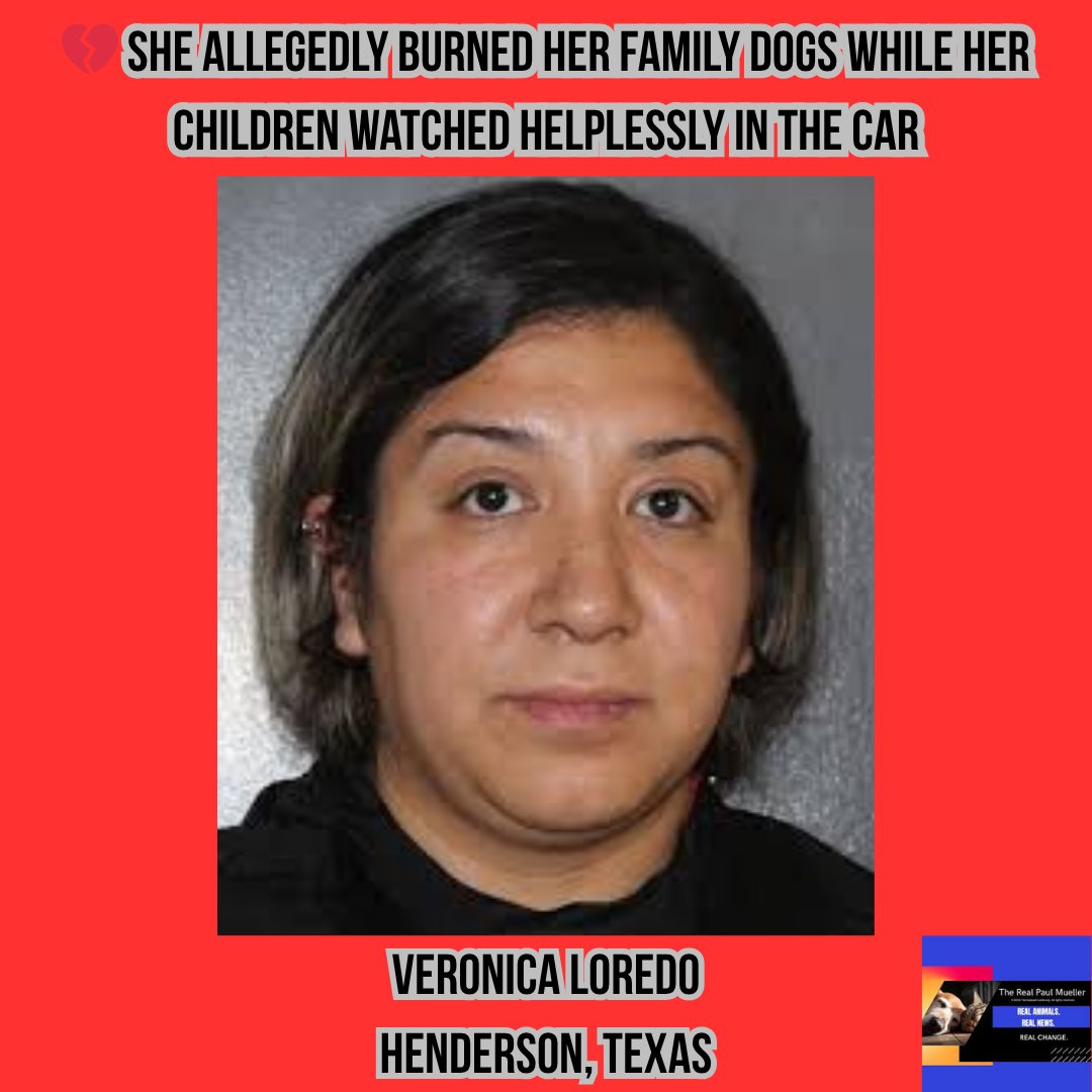 Paul Mueller tweet media