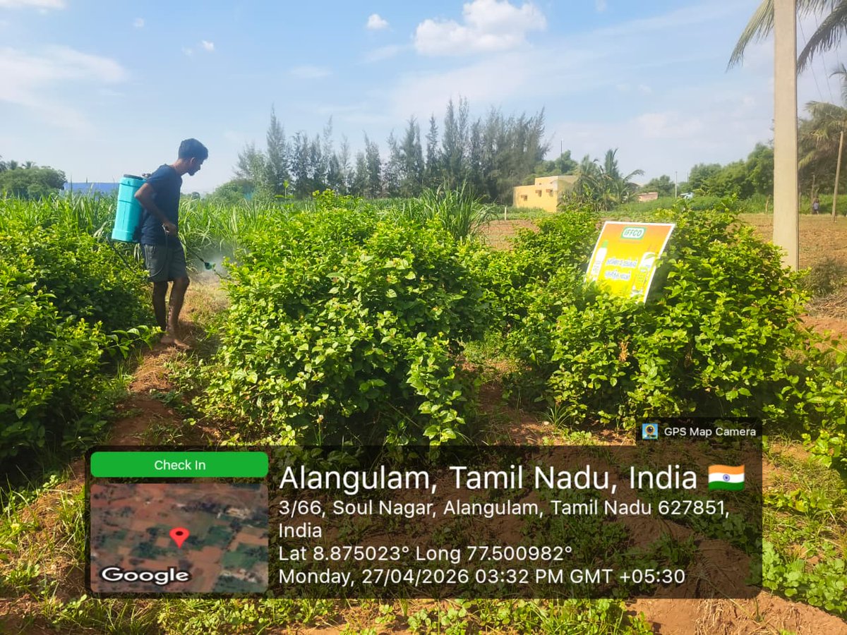 IFFCOTamilNadu's tweet photo. #Demonstration #Tenkasi #Salem #Jasmine #Tapioca-ல் #IFFCO #NanoDAP #Sagarika திரவ உரங்களை கொண்டு இலைவழி செயல் முறை விளக்கம் அளிக்கப்பட்டது.
@doa_tn @IFFCO_PR @Tanfed_CC1959 @fertmin_india
@tnhorticulture https://t.co/jwobgEIB8m