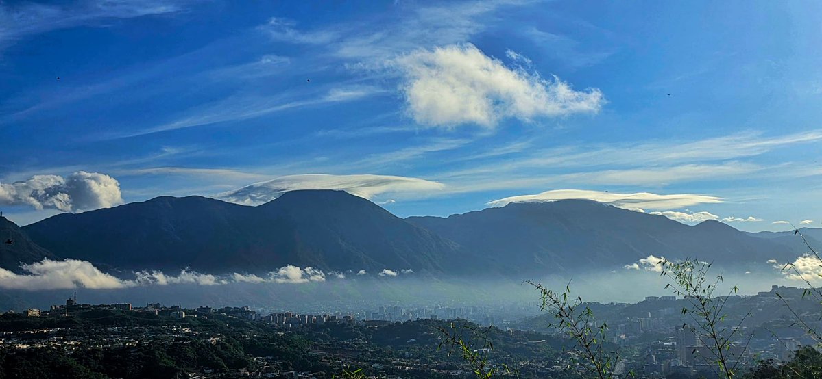 CATERINA VALENTINO tweet media