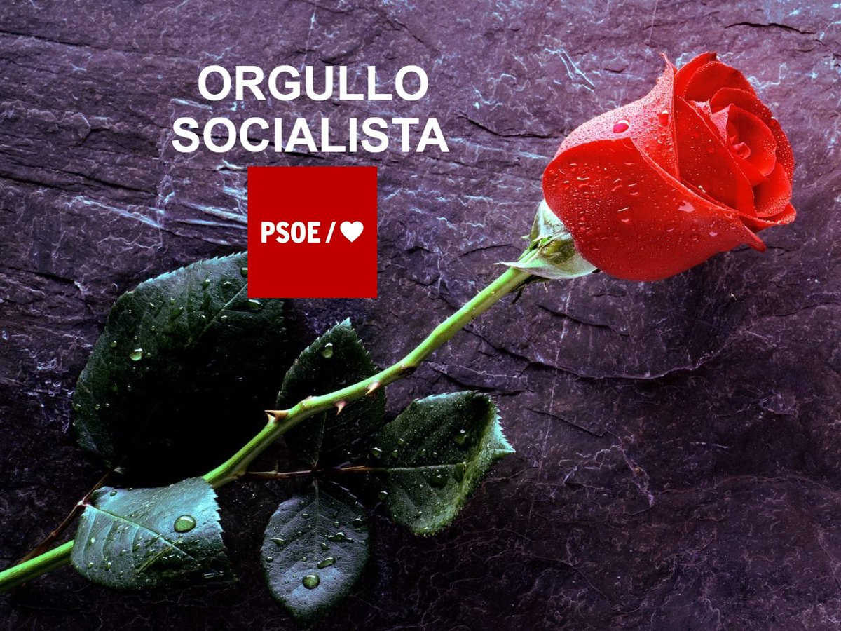 MIA PEREZ 🌹🌹🇪🇦🌹🌹 tweet media