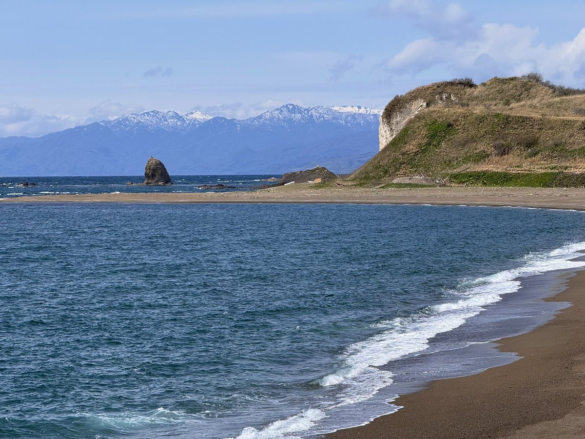 なます tweet media