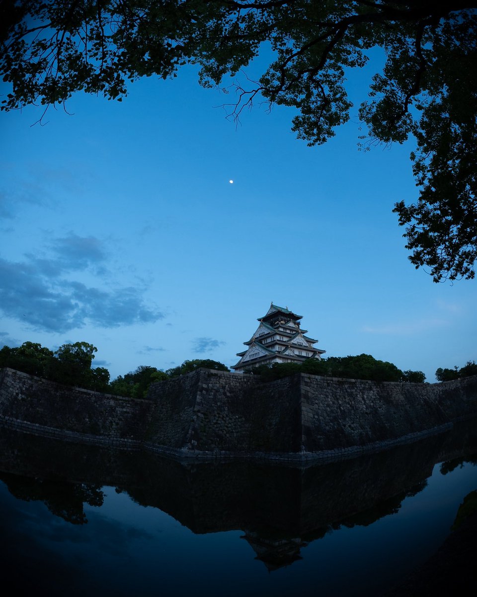 日が沈み
月が出てきた

大阪城も営業終了

また明日、日が昇るまで
しばしお休みください

#大阪城
#スズメ目線