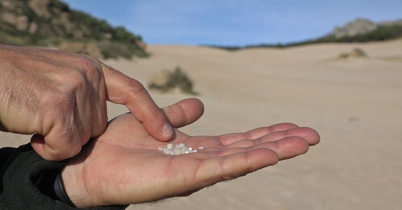 diariocadiz's tweet image. La UCA estudia cómo el calentamiento global transforma el Atlántico Norte #Cádiz