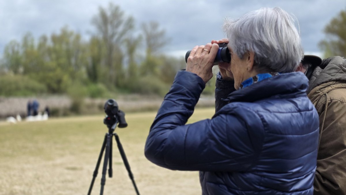 AulaMedAmb's tweet image. 𝗧𝗔𝗟𝗟𝗘𝗥 𝗚𝗥𝗔𝗧𝗨𝗜𝗧𝗢:🐦 Descubre cómo anotar tus observaciones aves 
y colaborar con la plataforma de ciencia ciudadana más utilizada del mundo:  𝗲-𝗕𝗶𝗿𝗱

🗓Miércoles 6 de mayo
17.30 - 19.30 PM #Burgos 

✍️ Inscríbete 
cajadeburgos.com/actividad/0200…