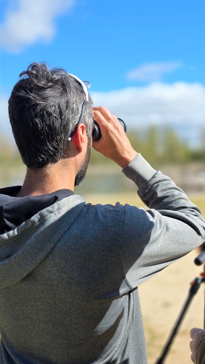 AulaMedAmb's tweet image. 𝗧𝗔𝗟𝗟𝗘𝗥 𝗚𝗥𝗔𝗧𝗨𝗜𝗧𝗢:🐦 Descubre cómo anotar tus observaciones aves 
y colaborar con la plataforma de ciencia ciudadana más utilizada del mundo:  𝗲-𝗕𝗶𝗿𝗱

🗓Miércoles 6 de mayo
17.30 - 19.30 PM #Burgos 

✍️ Inscríbete 
cajadeburgos.com/actividad/0200…