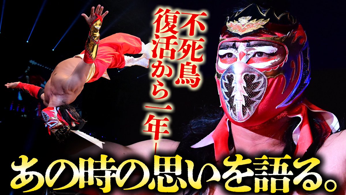 期間限定】 フル試合動画＆ハヤブサ復活から1年振り返りスペシャル