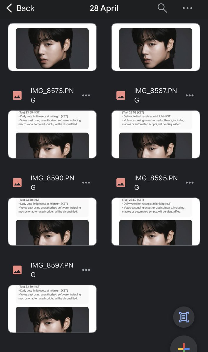 project hail di tweet media