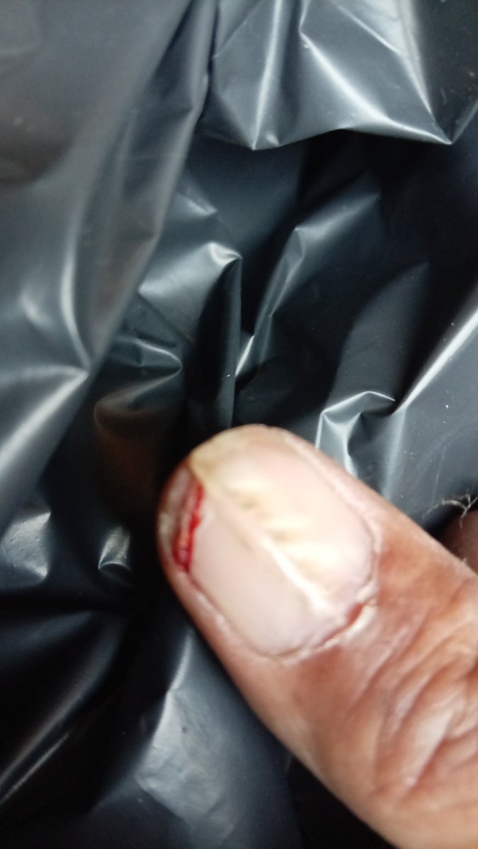 Dan Ashton fully Christian. survivor of world war3 tweet media