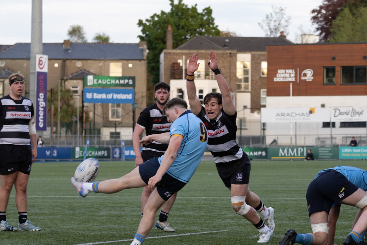 Leinster Domestic tweet media
