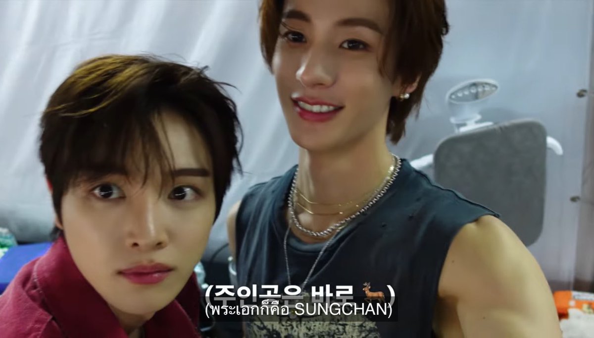 mi meow ‎♡ྀི ˖ tweet media