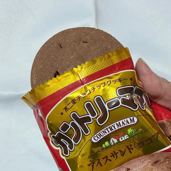 4月28日(火)の〆アイス】遂にココア味。4月14日に発売されたセブン限定
