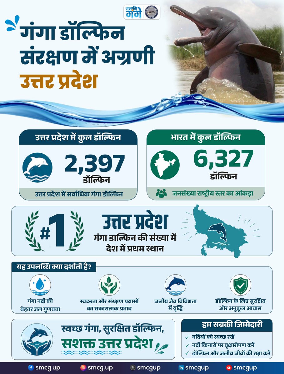 उत्तर प्रदेश में 2,397 गंगा डॉल्फिन के साथ देश में पहला स्थान नदी तंत्र में सुधार का स्पष्ट संकेत है। 

यह स्वच्छ जल, बेहतर पारिस्थितिकी संतुलन और प्रभावी नदी संरक्षण प्रयासों को दर्शाता है।

For: UPPCS, Lekhpal, Lower PCS