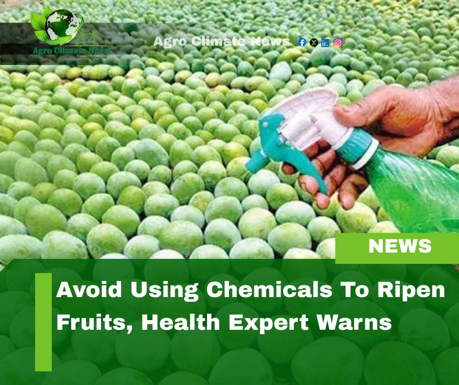 AgroClimateNews's tweet photo. Avoid using chemicals to ripen fruits, health expert warns  https://t.co/L3fosSw8SJ via @Agro Climate News https://t.co/0pmhdHw0Vm