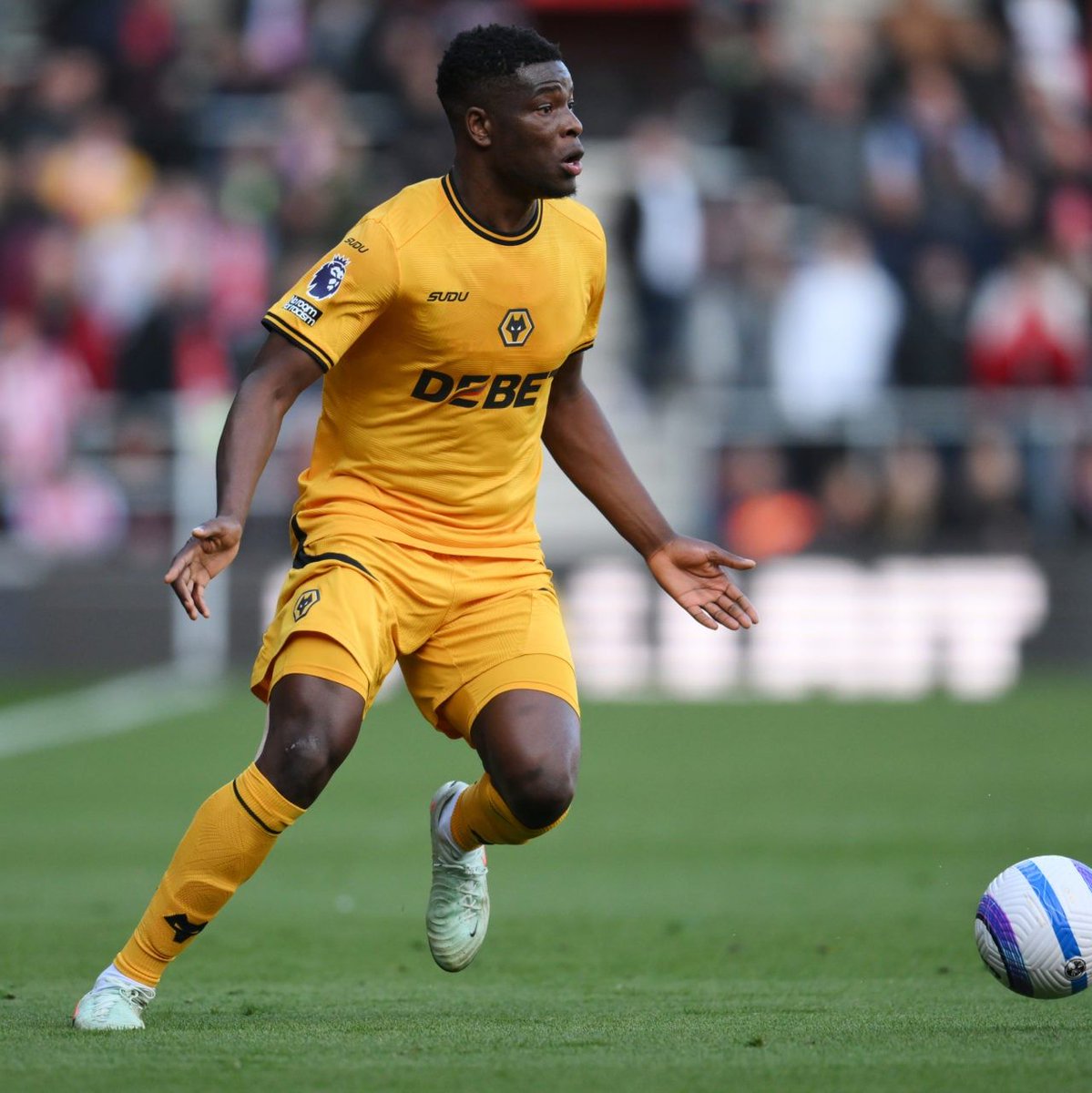 Talking Wolves tweet media