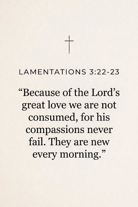 Holy Bible tweet media