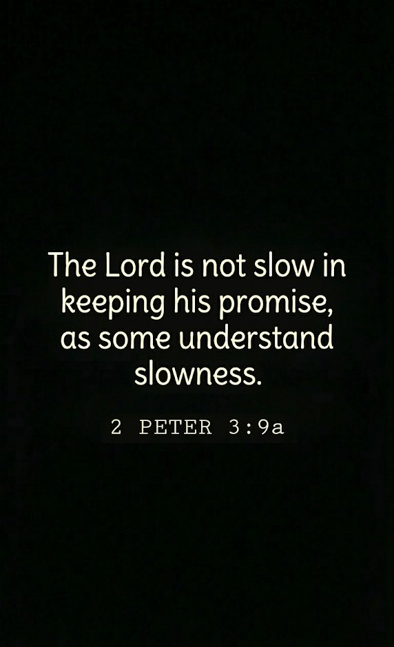 Holy Bible tweet media