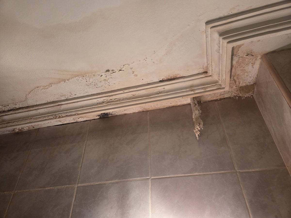 Pedro Barrero tweet media