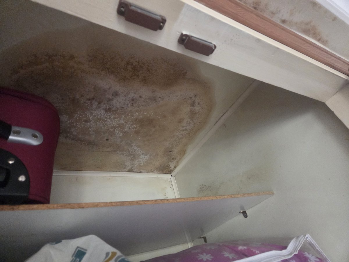 Pedro Barrero tweet media