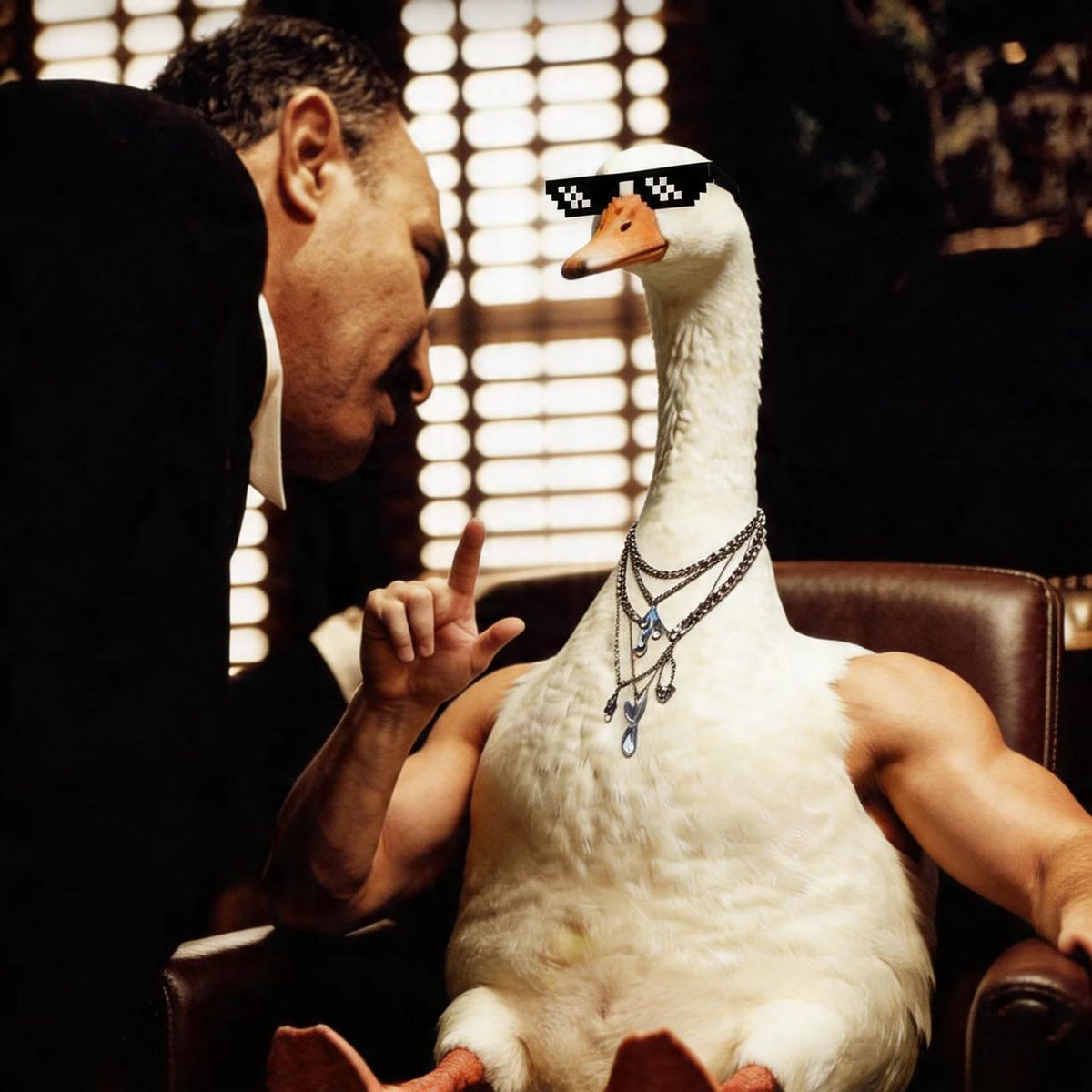 QuackTheDuck tweet media