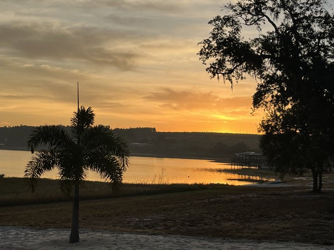 Susan50176981's tweet photo. Good Morning Florida https://t.co/x2EnRoKOe1