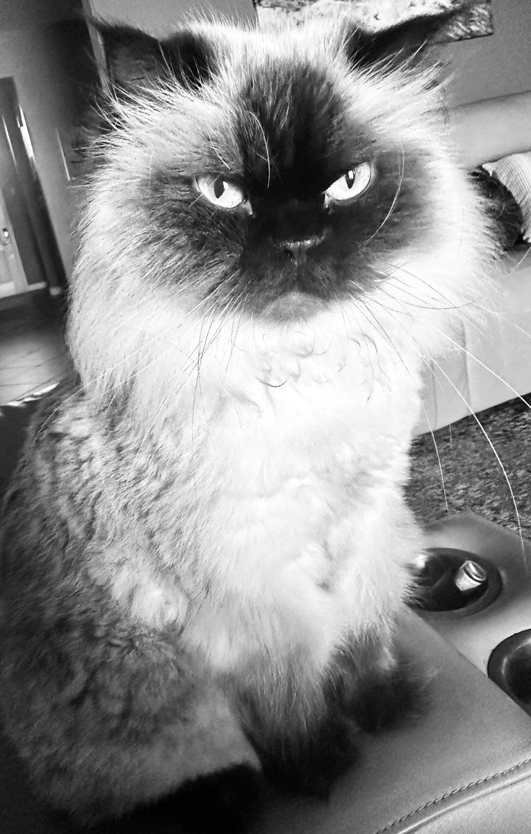 ArmyBrat68 tweet media