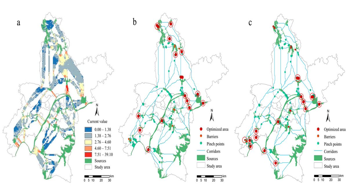 RemoteSens_MDPI's tweet image. 🌿🌿 Constructing an #Ecological Spatial #Network Optimization #Framework from the Pattern–Process–Function Perspective: A Case Study in #Wuhan

✍️ An Tong et al.
🔗 brnw.ch/21x20mR