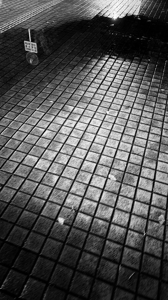 NaughtyMustace's tweet image. like a mirror / 鏡みたいな夜

#monochrome #streetphotography #lightandshadow  #urban