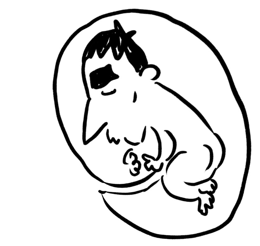 Wenk tweet media