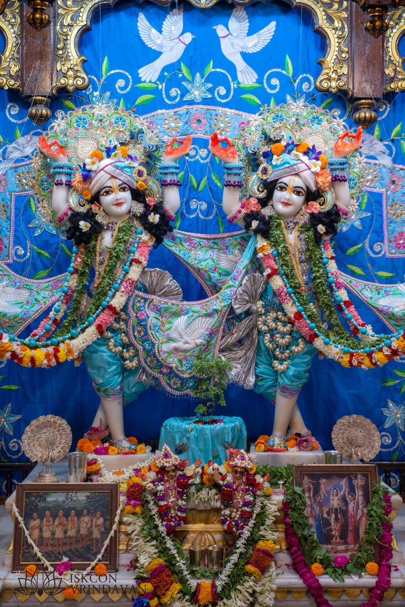 theholy_monk's tweet photo. Today's Singar Darshan
ISKCON Vrindavan.
Date: 28 April 2026 Tuesday 

🍎🍎🍎Nitai Gaurang 🍎🍎🍎 https://t.co/eTDFvnbBPj