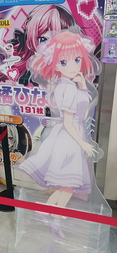らしんばん秋葉原店新館入荷情報? 『五等分の花嫁 HICUL 等身大 