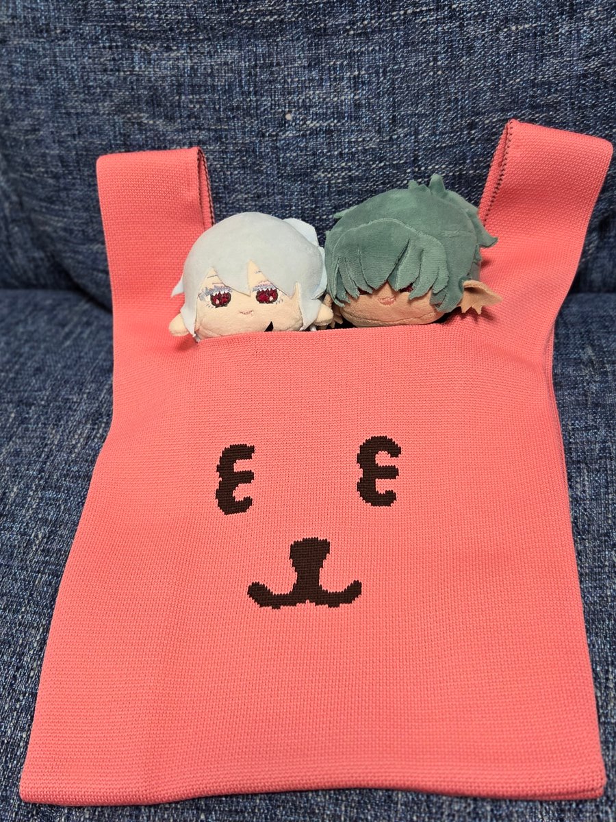 帰宅～～
買いたいものあってナガノマーケットまで行ってきたんだけど、このバッグを見つけてしまい衝動的に買ってしまったよ……！！
みんな見てくれ……あまりにもアッシュ！！！！！！！！(з ᴥ з)
サイズちょうどいいからぬいバッグにします……笑