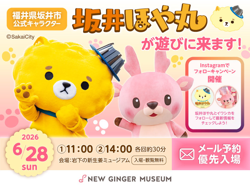 shinshoga's tweet photo. ★【6月28日】福井県から坂井市公式キャラクター「坂井ほや丸」が遊びに来ます♪イワシカちゃんとコラボグリーティングを1日2回開催（①11:00 ②14:00）～事前予約で優先入場～ - 岩下の新生姜ミュージアム https://t.co/h89zX9xnY8 https://t.co/IInmmhnjlU